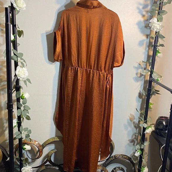 Steve Madden Copper Midi Dress - Picture 6 of 6